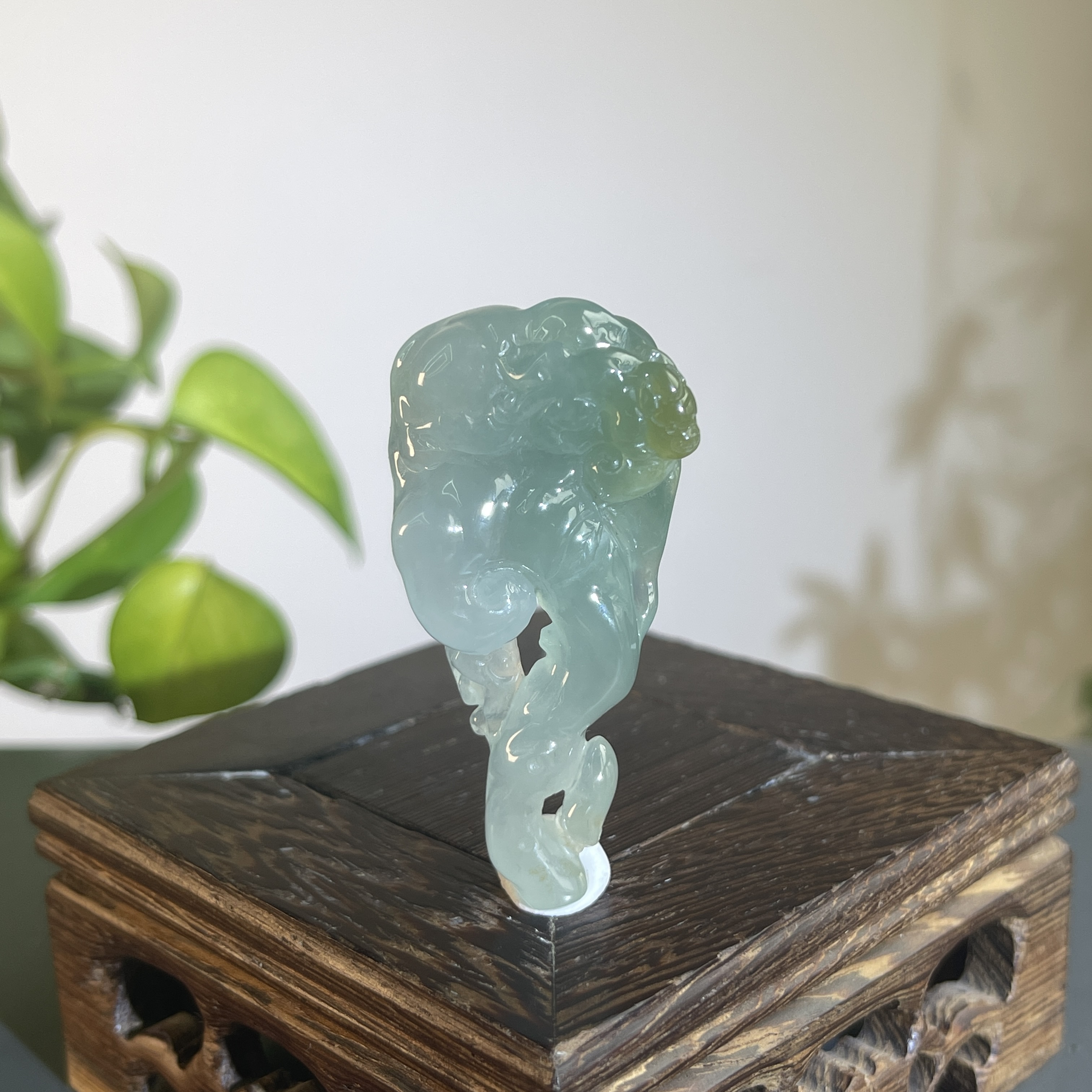 JTW21-125 天然缅甸翡翠A货 灵芝如意