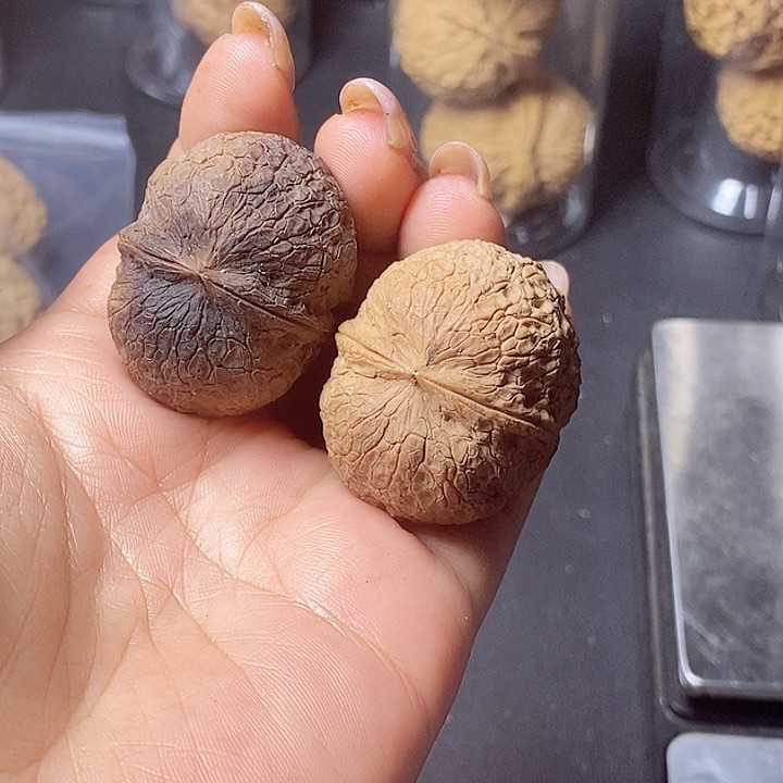 把件文玩核桃77-37mm