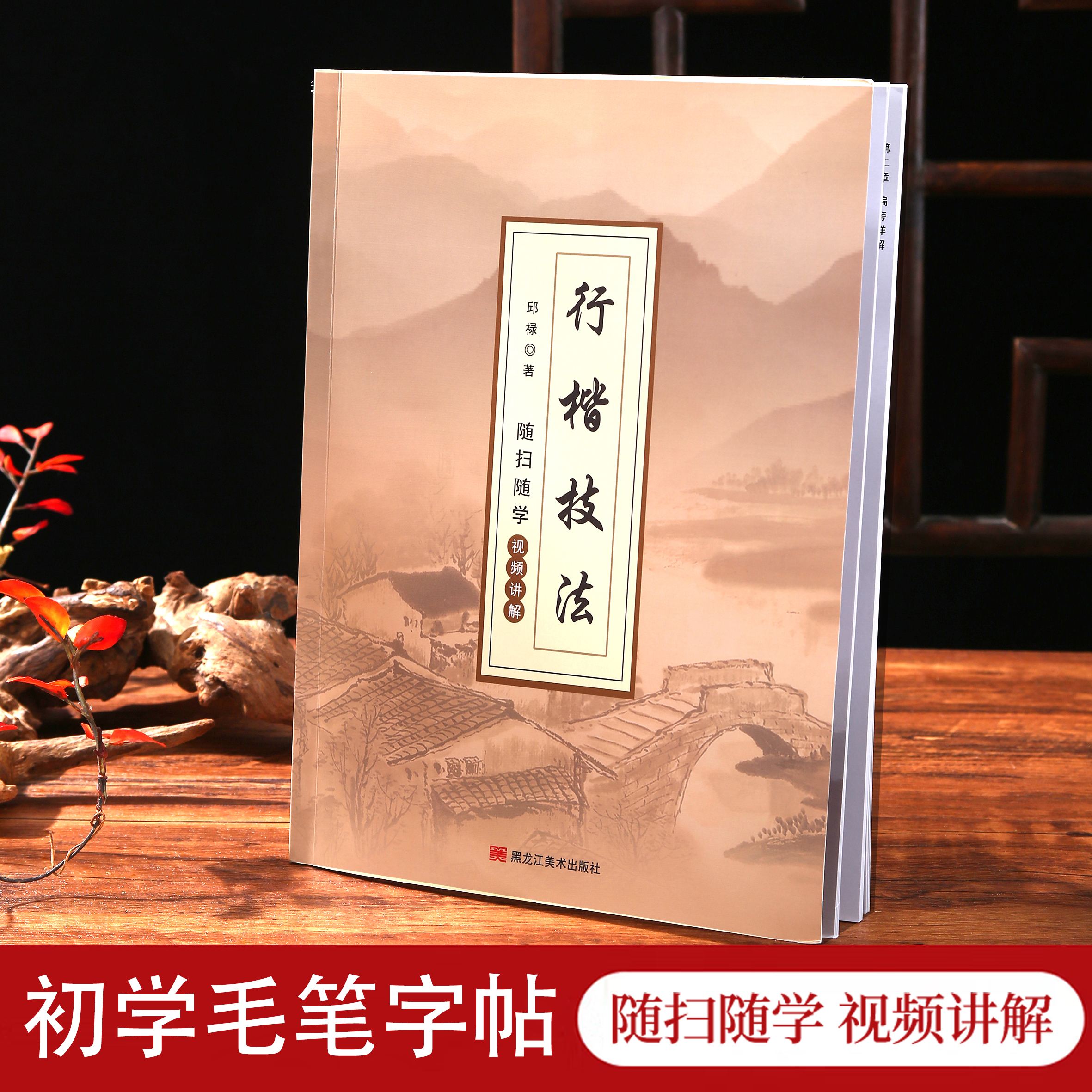 行楷技法字帖毛笔字全新升级图文视频讲解适合初学者毛笔字字帖书