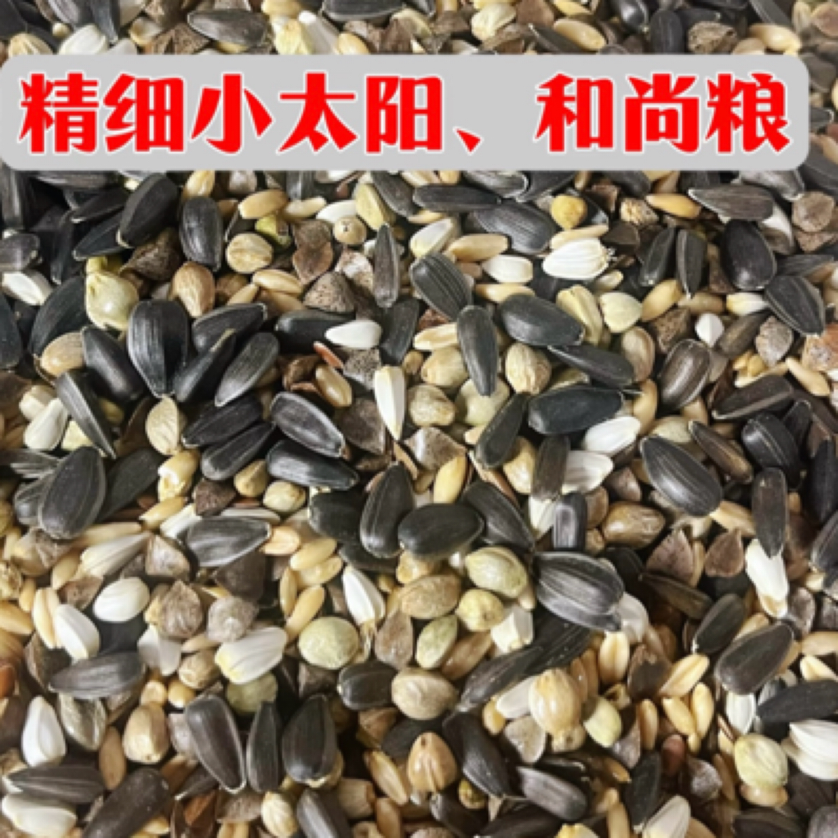 养殖场自配小太阳鹦鹉断奶学吃粮