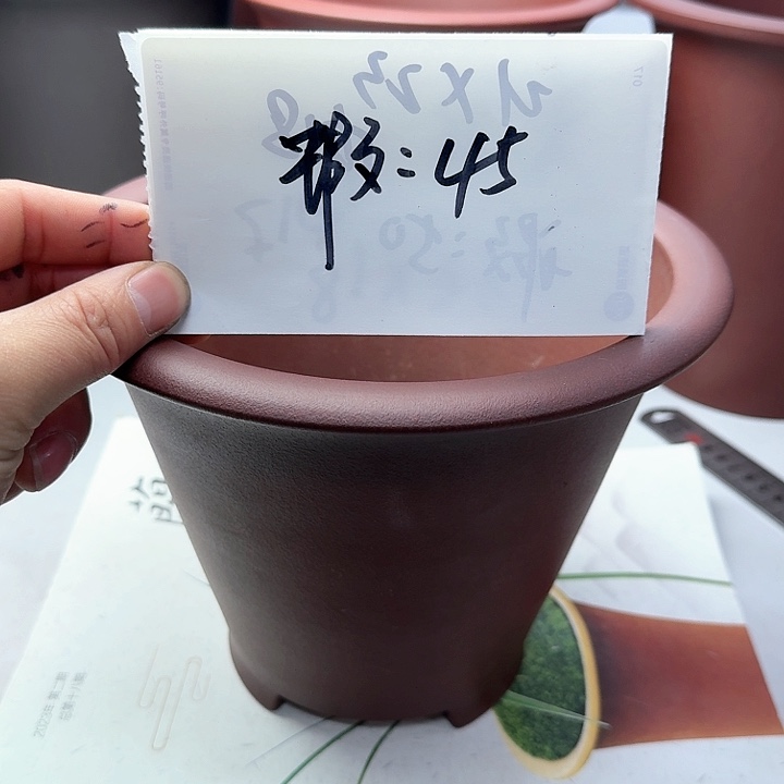 紫砂22222222223323333