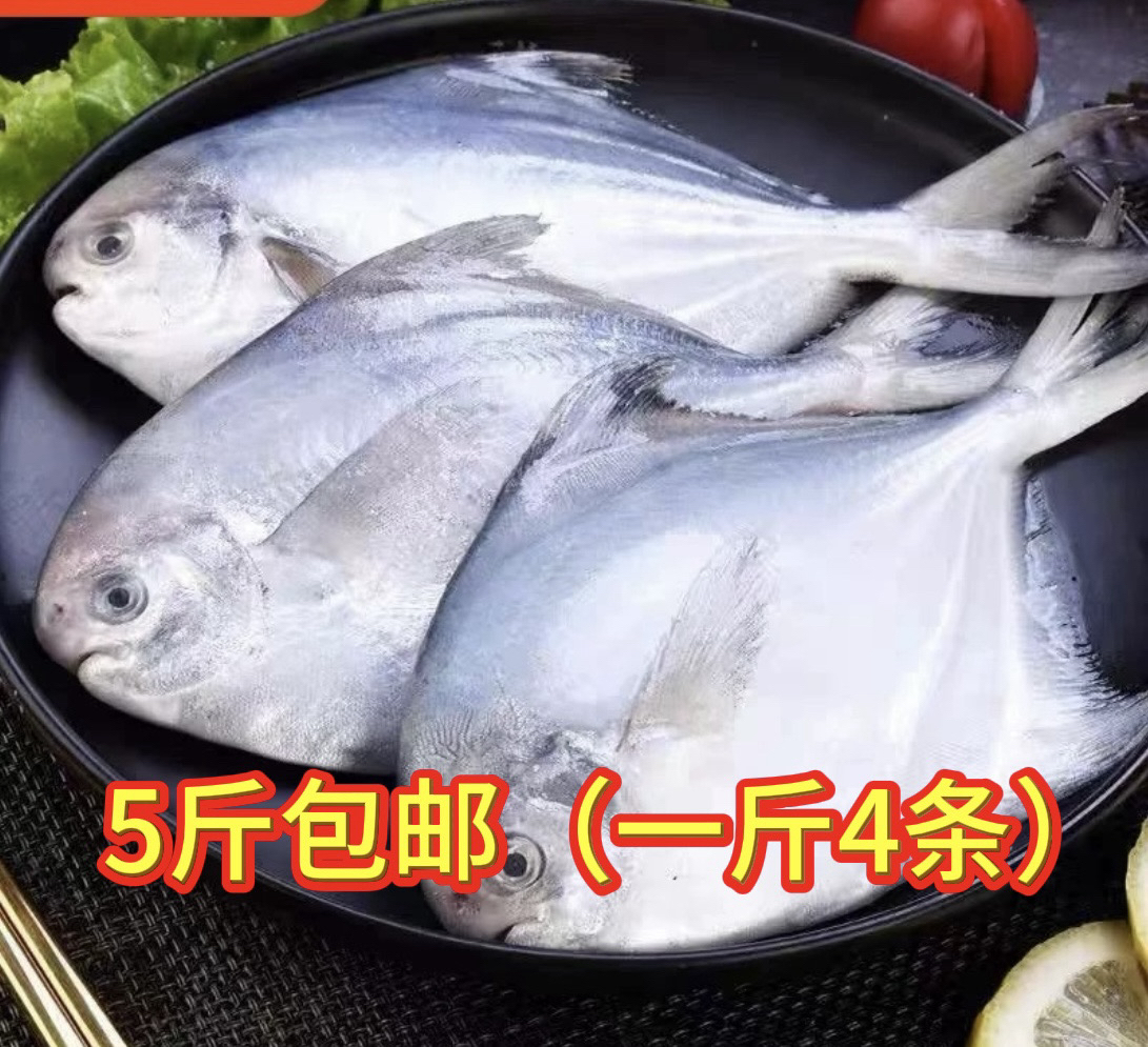 冰鲜银昌鱼 5斤（一斤4条）液氮锁鲜发货