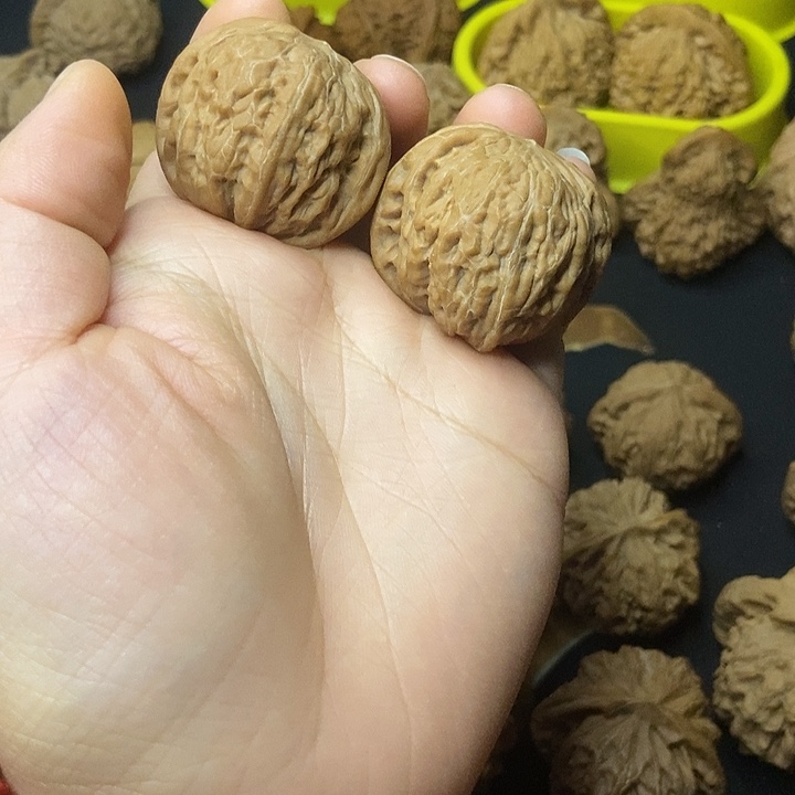 龙***门文玩核桃   铁锤妹妹