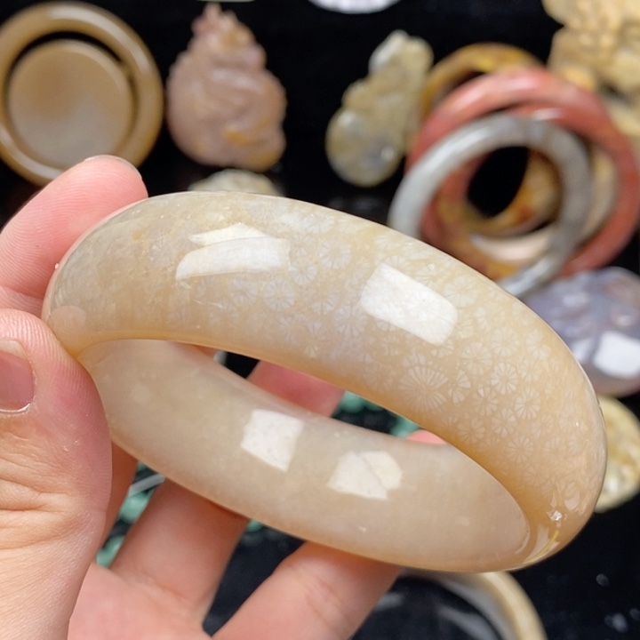 湛***蓝未镶嵌手镯硅化玉