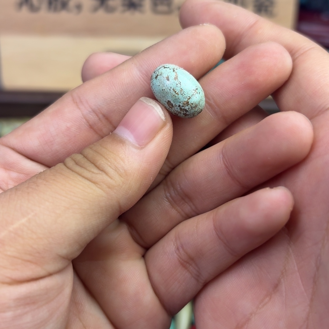 南红玛瑙未镶嵌绿松石