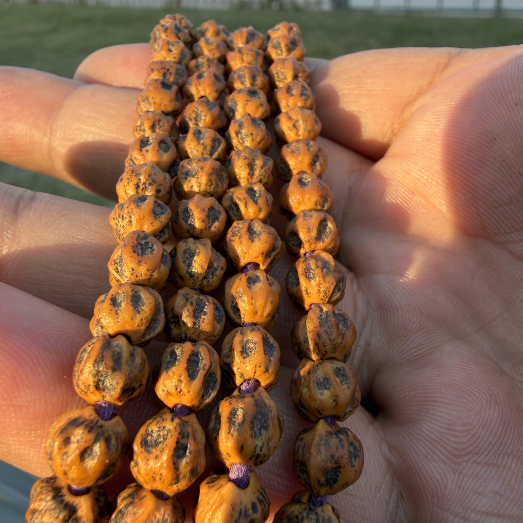 热振红油皮老树铁籽深坑满鬼骷髅头柏香籽长串文玩