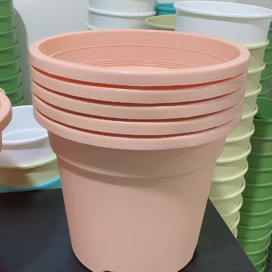 树脂四季口28粉5个无托