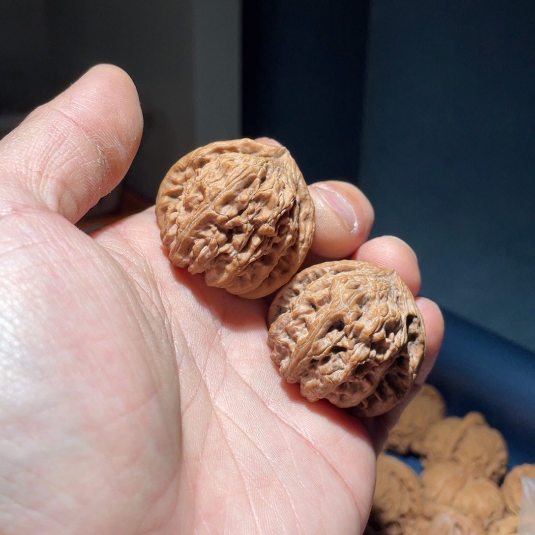 核桃手串/手链39全品三角白