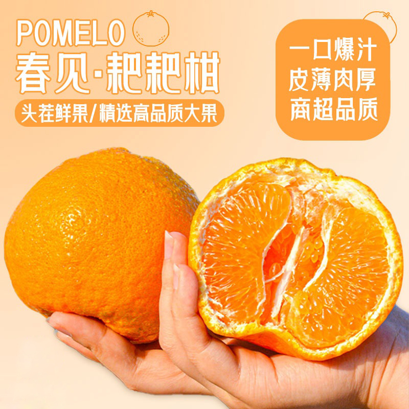 【精品】正宗四川春见耙耙柑新鲜水果当季上市鲜甜多汁皮薄易剥商品图