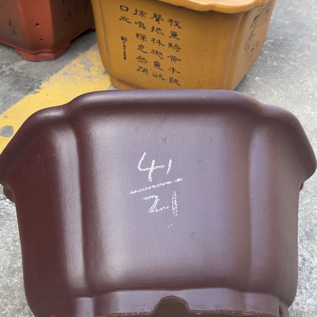 紫砂花盆盆景艺术