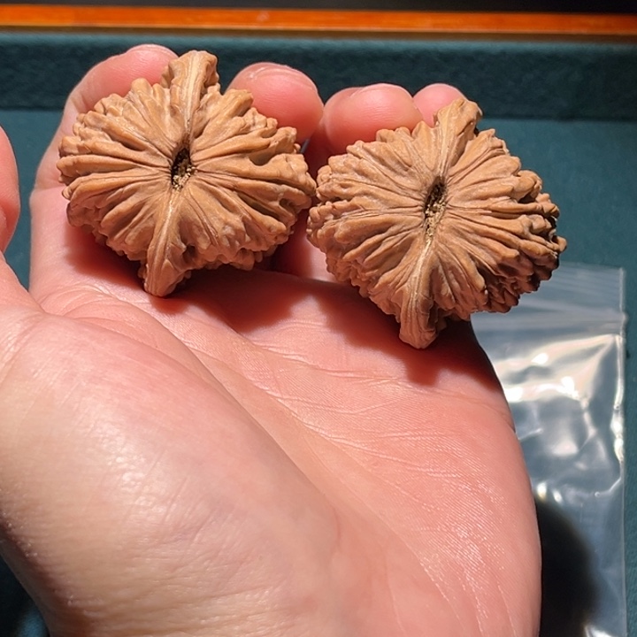 文玩核桃把件B*！41➕楼子毕业对