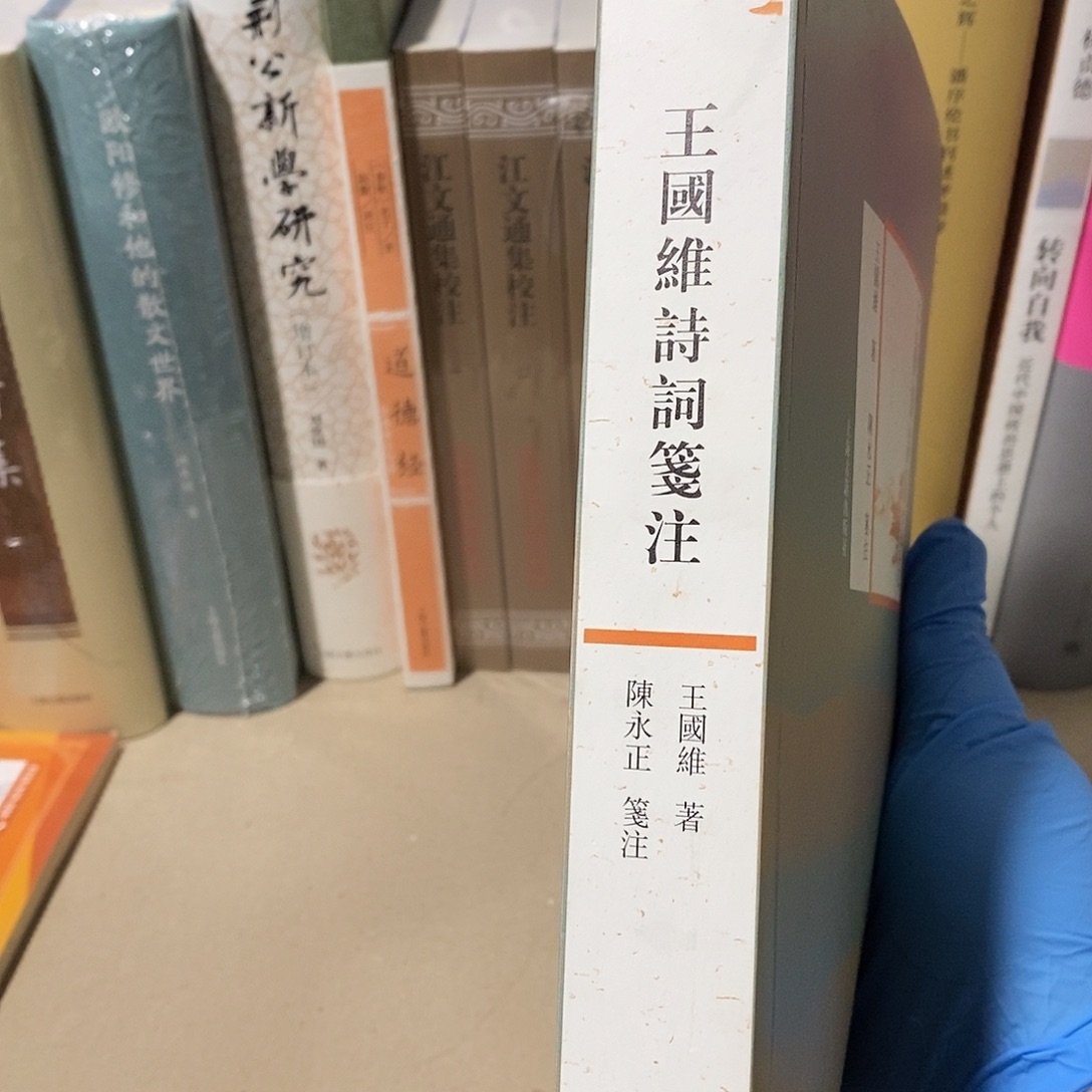 王国维诗词笺注 闪购