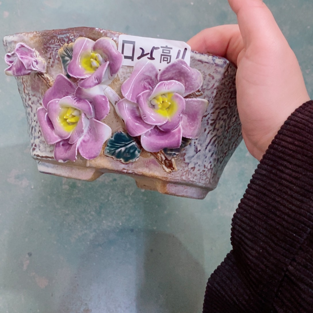 红陶福利福利福利活动