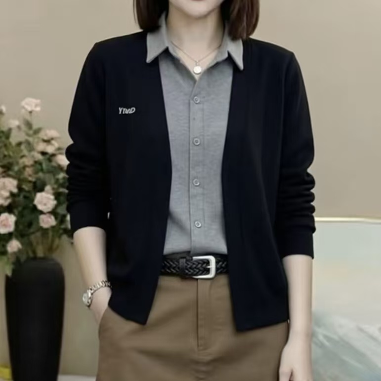 2026秋季新款翻领假两件设计感洋气时尚显瘦百搭女士长袖上衣女商品图