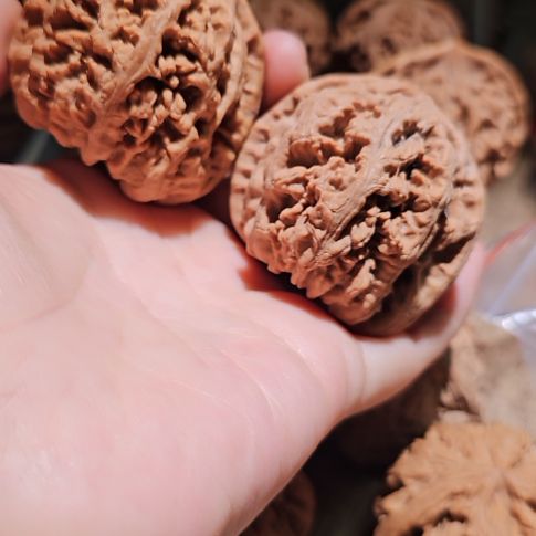 文玩核桃吊坠48粗筋