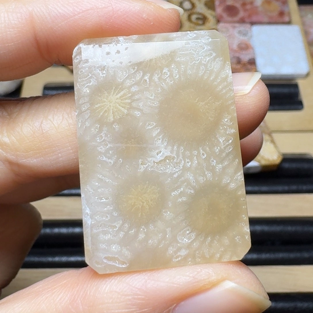 硅化玉糖牌 有骨骼，冰纹特价未镶嵌