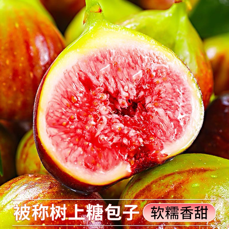 【高端稀缺品种】威海青皮新鲜无花果1盒12颗 糖包子留蜜