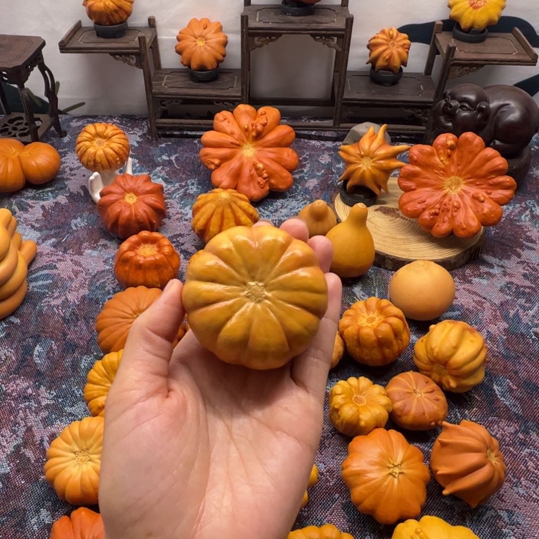 墨西哥葫芦扁南瓜