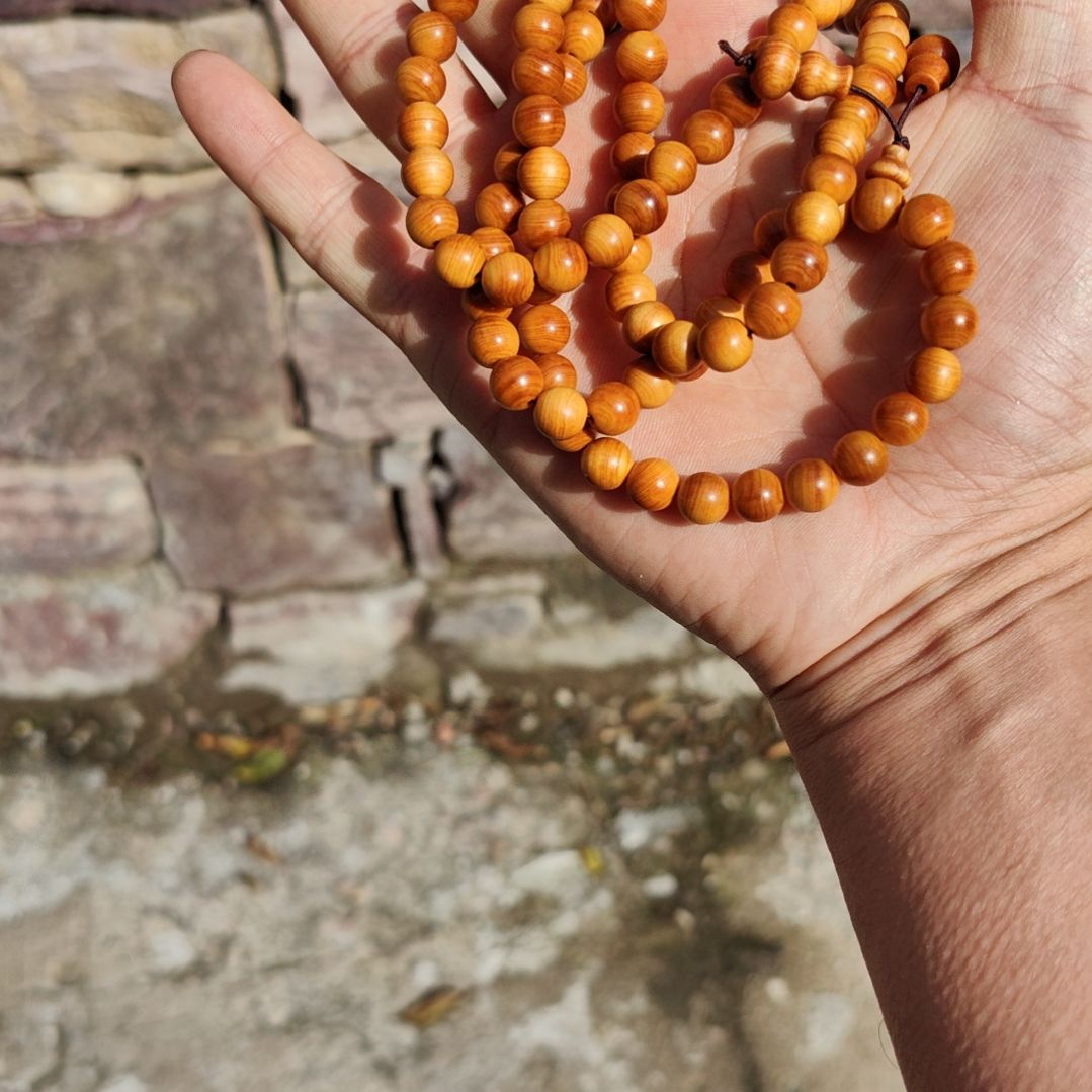 0.8黄金底太行崖柏一条