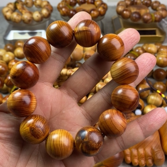 柏木（崖柏）崖柏2.0