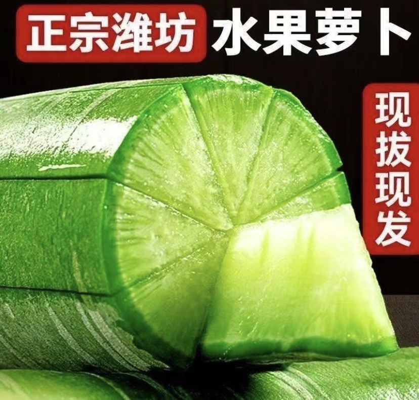 【新鲜正宗水果萝卜】农家自种青萝卜生吃微辣脆甜