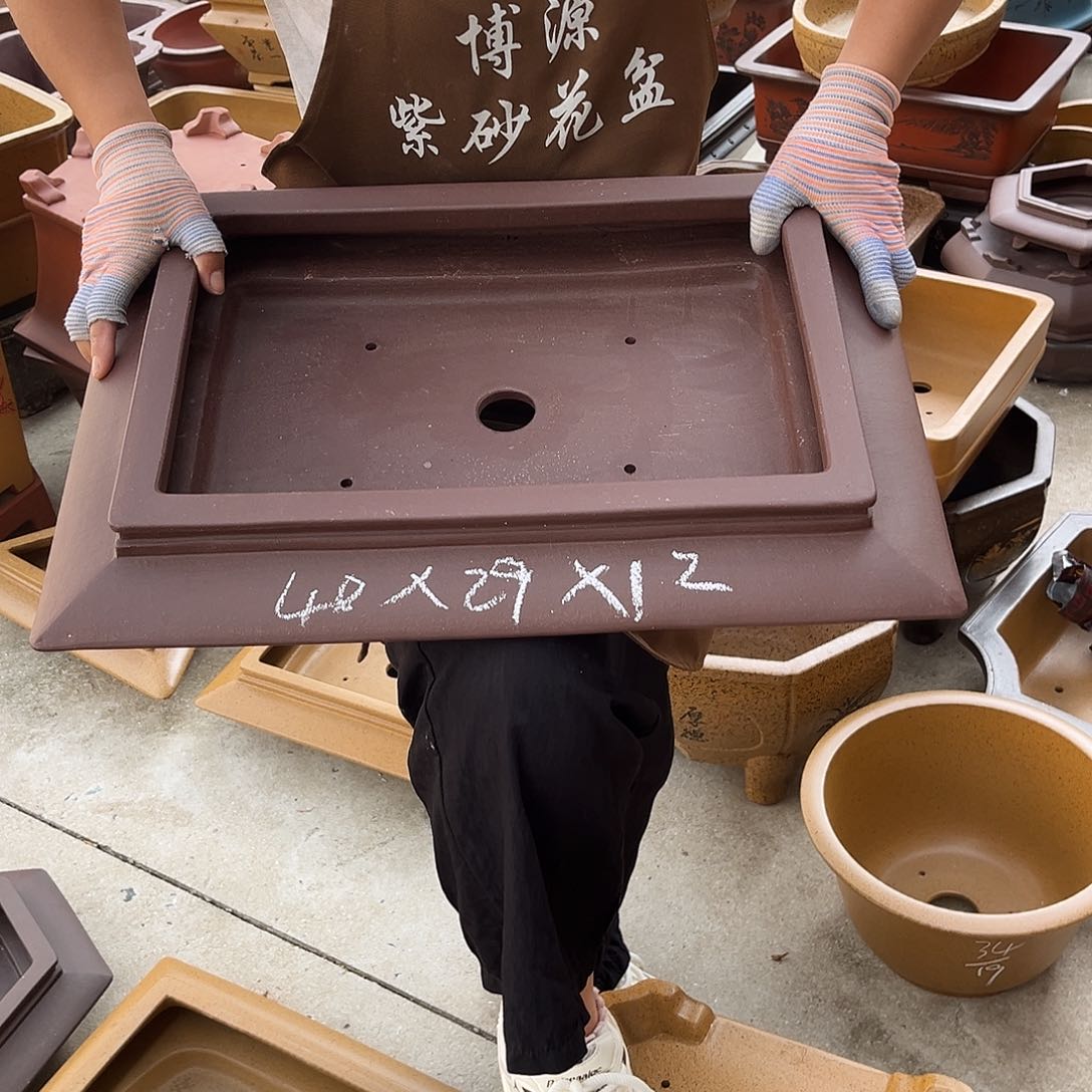 紫砂花盆盆景艺术