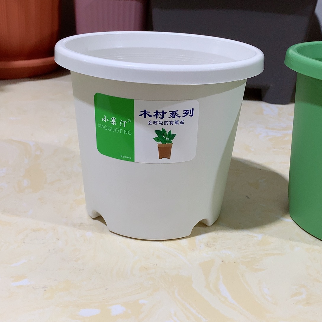 树脂四季口15白10个无托