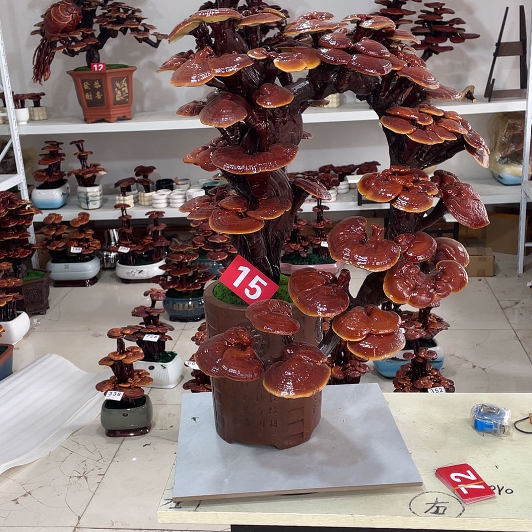 无花朵8888888888888888888