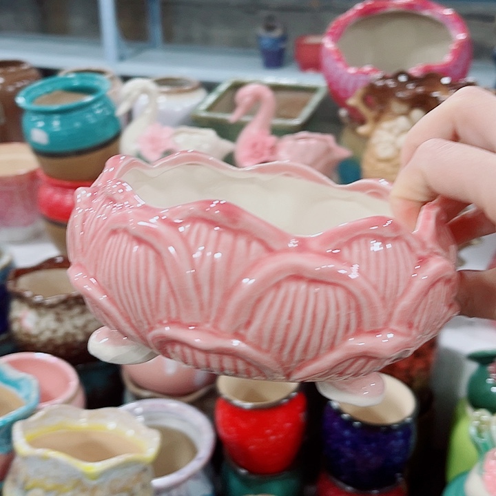 多肉花盆满10元包邮