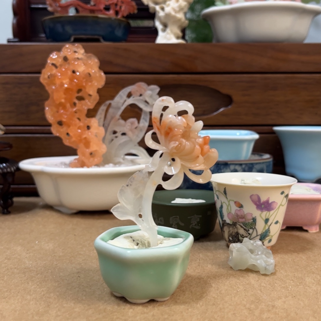 舞***舞印石昌化石菊花一套