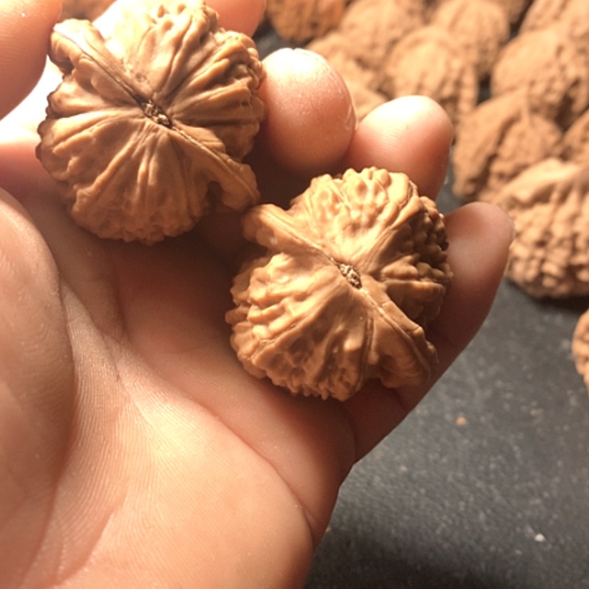 【闪购商品】豆****3大红袍