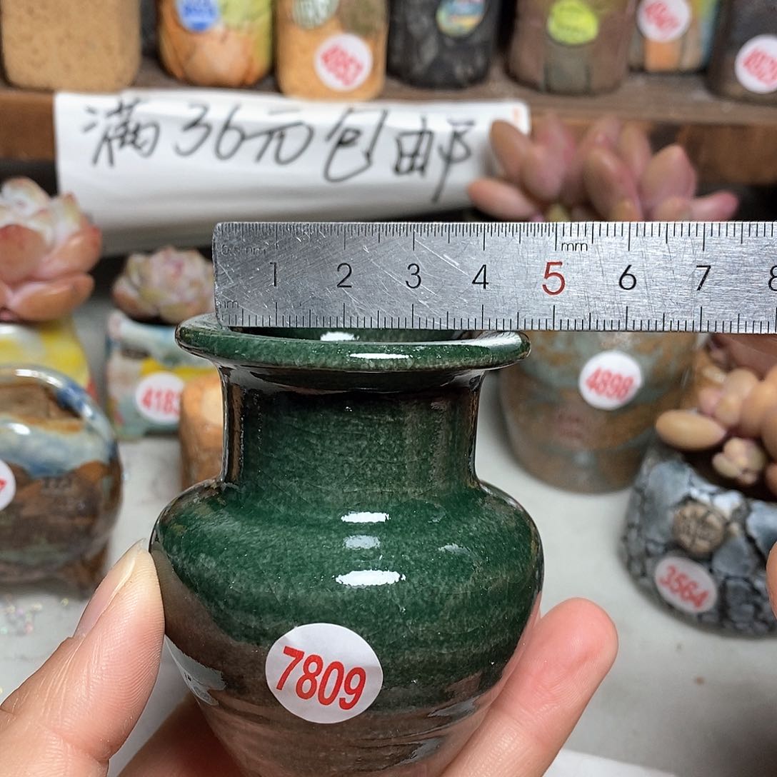 红陶拍5送一个小