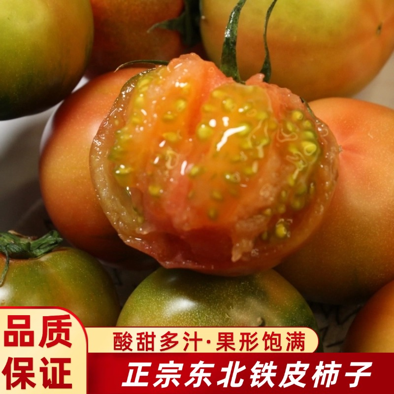 拍3斤发4斤铁皮柿子果形饱满正宗东北特产新鲜草莓柿酸甜多汁