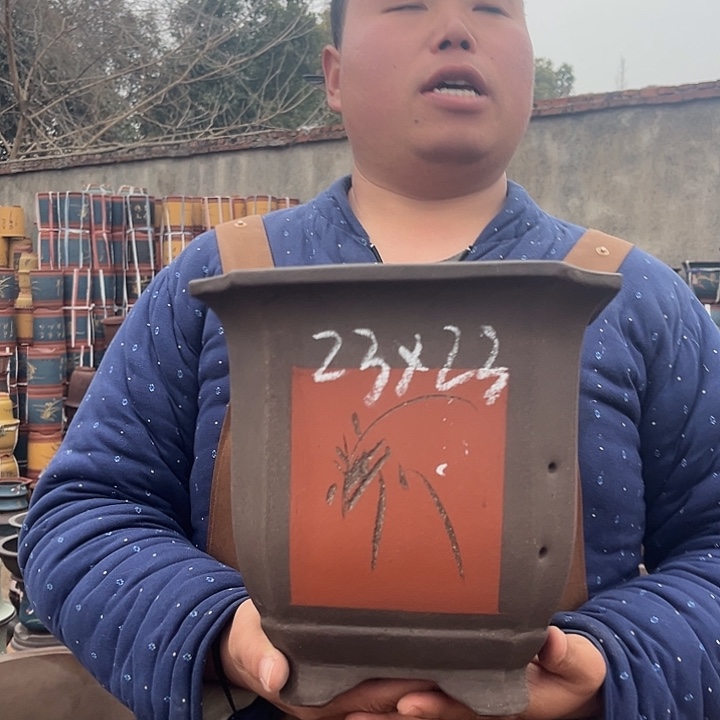 紫砂紫砂花盆盆栽