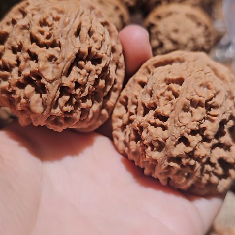 2***成文玩核桃吊坠48南疆