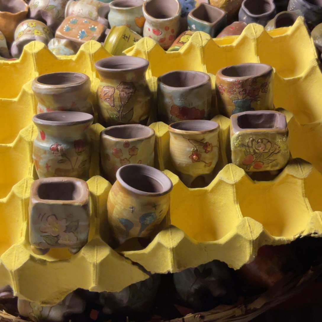 佩***佩盆子10个盆子，10个小盆