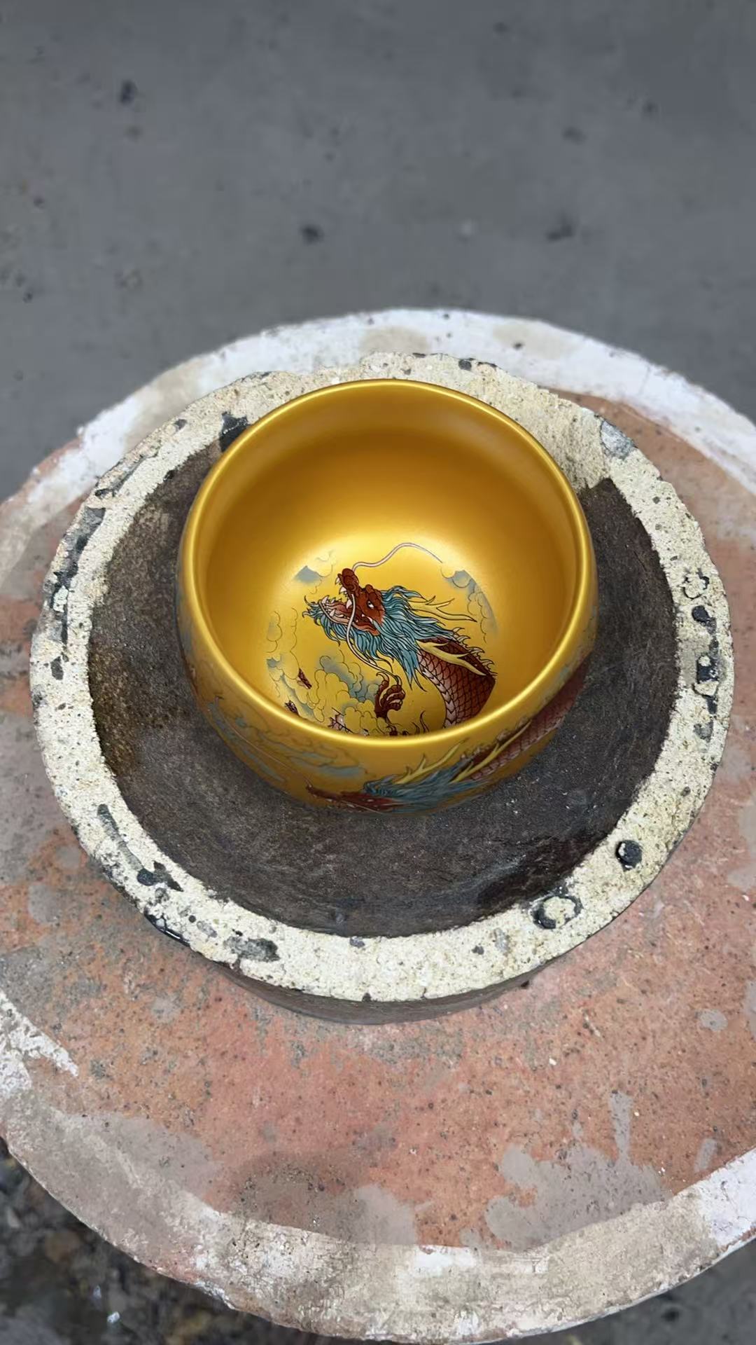 主人杯 金丝龙  