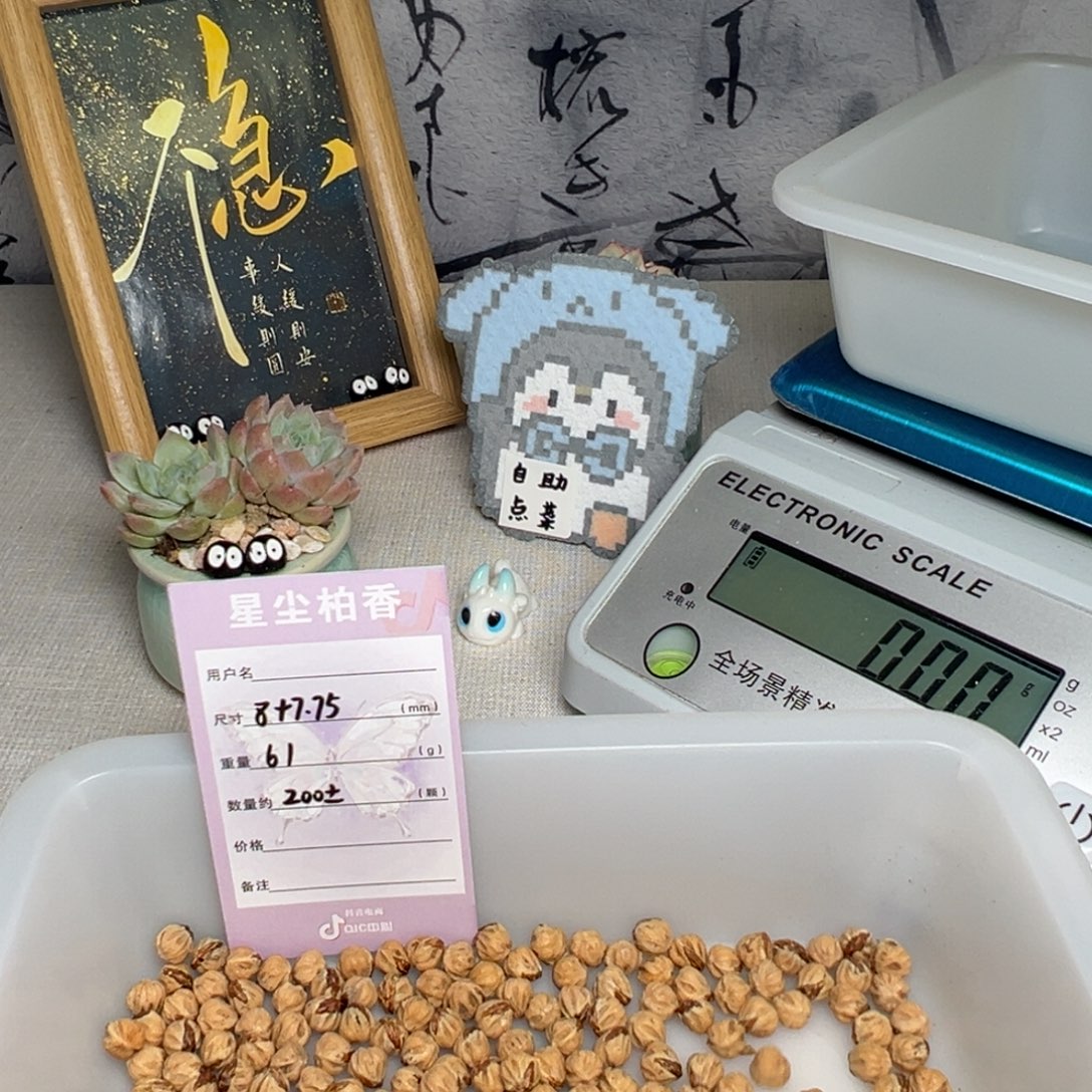 吊坠柏香籽/百香籽