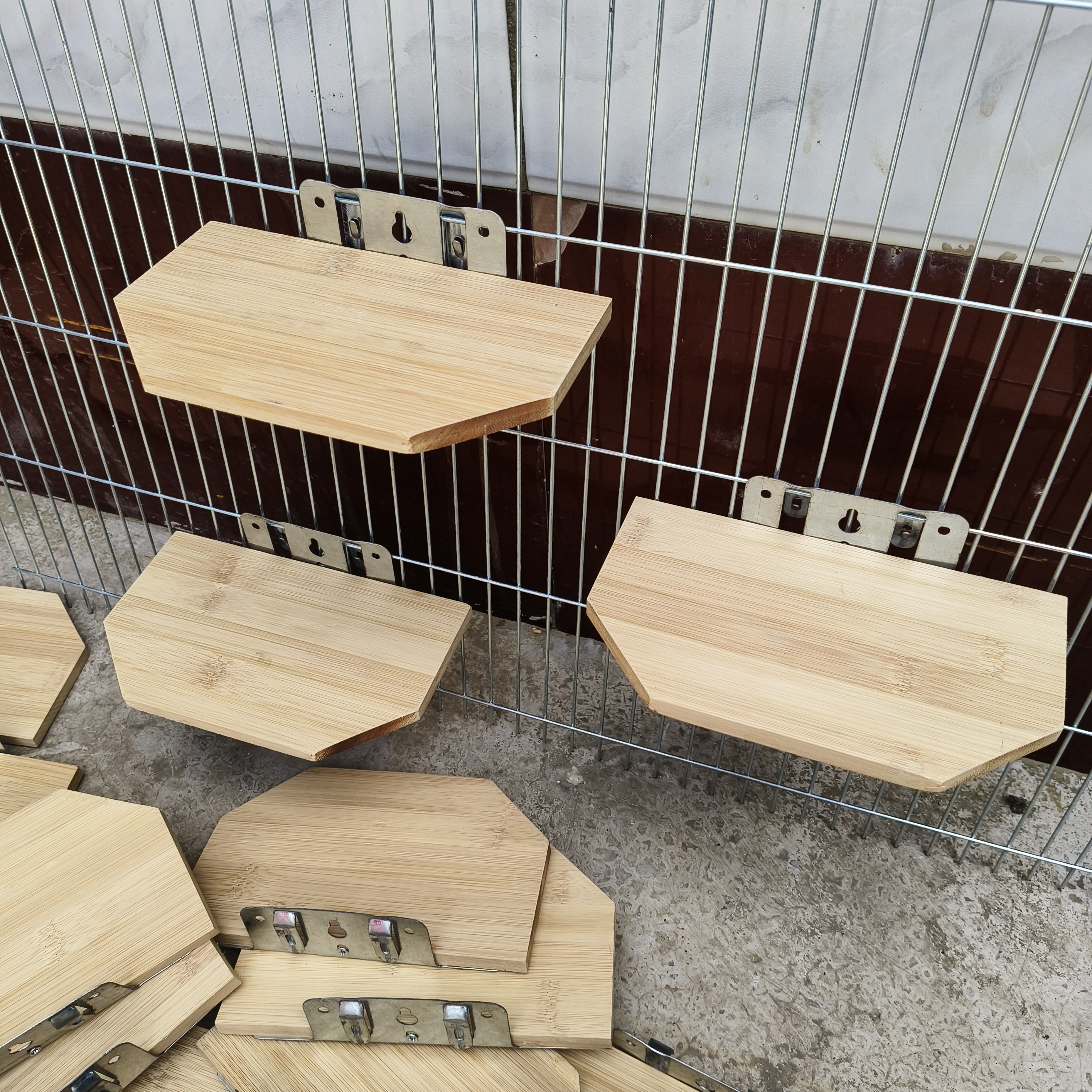 鸽子梯形竹木站架休息架