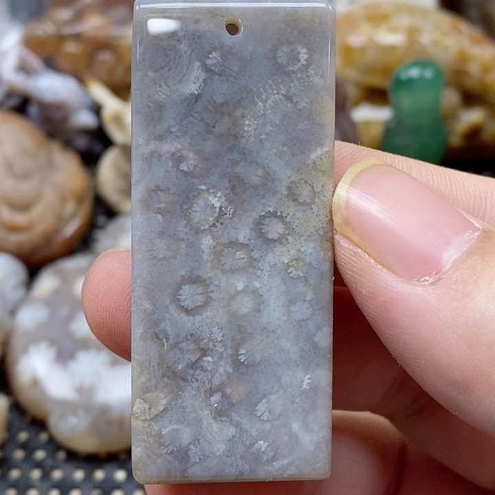 硅化珊瑚（珊瑚玉）颈饰未镶嵌小吊坠