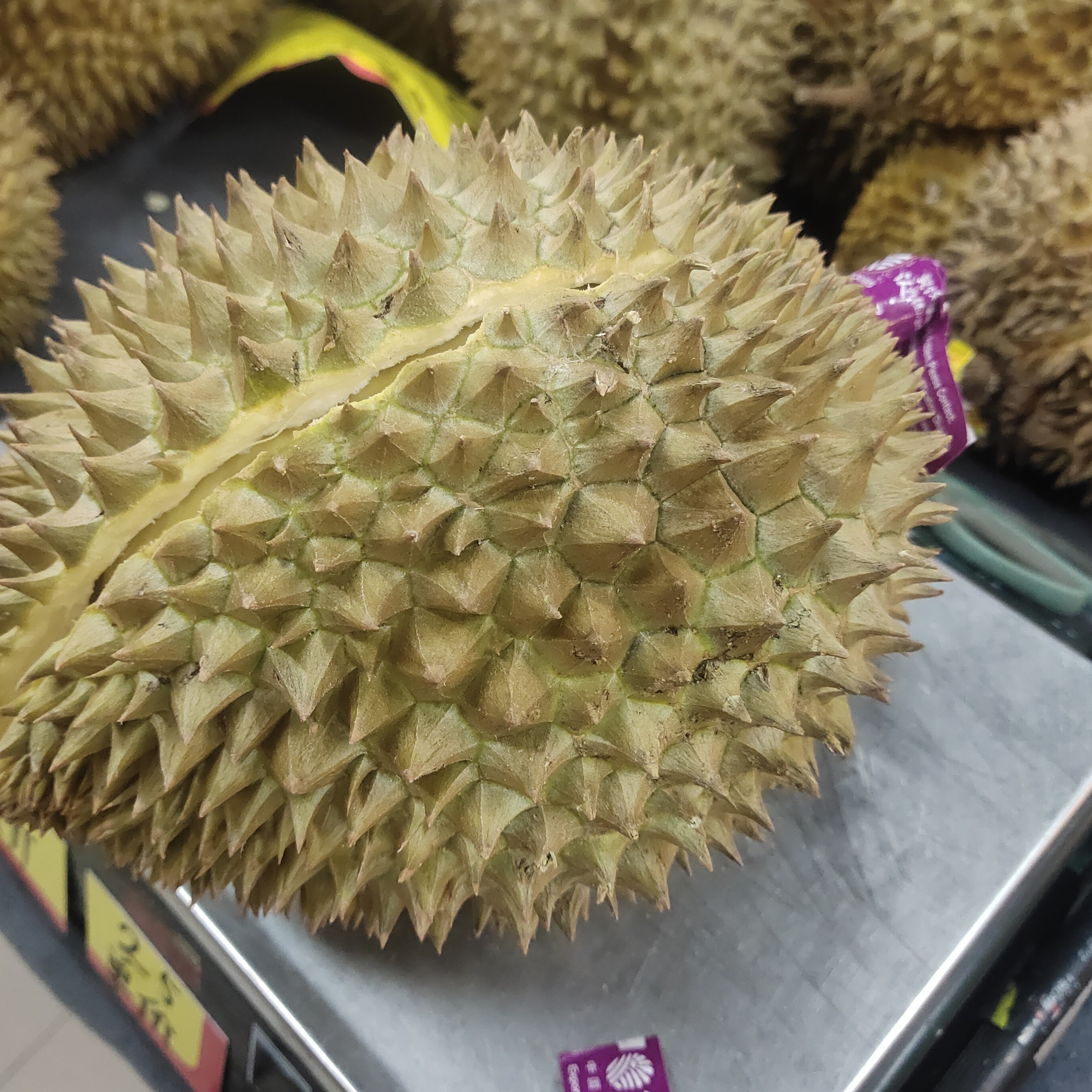 金枕鲜榴莲7好吃干包好吃核小肉多一果一重金枕