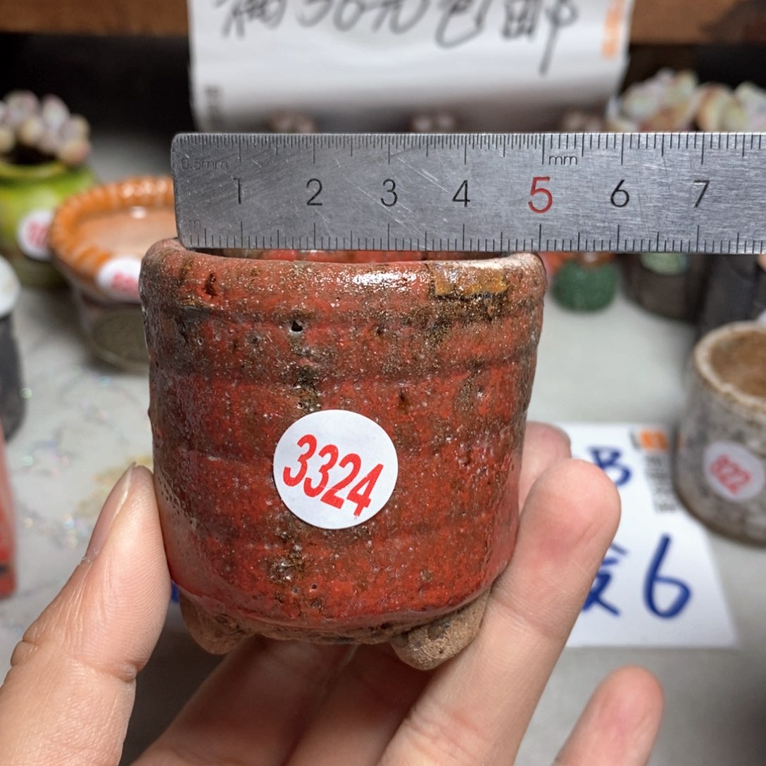 拍5送一个小礼物