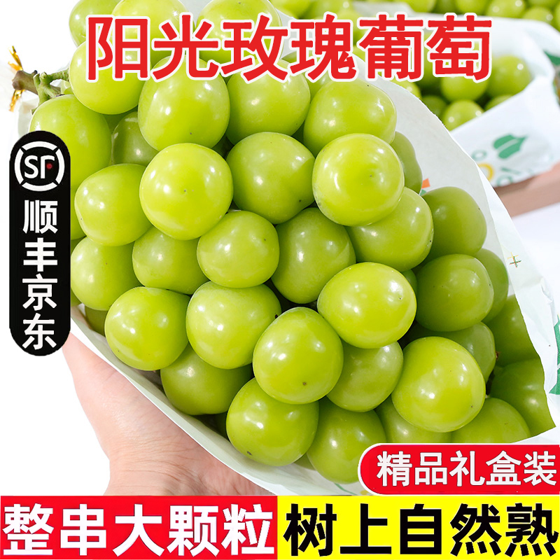 【基地头茬直采】DD高原阳光玫瑰无籽葡萄香印青提新鲜水果3斤