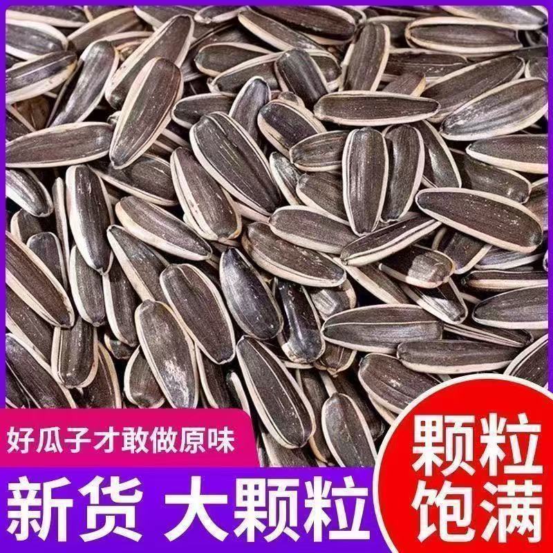 买一斤送一斤原味瓜子2斤炒熟休闲大颗粒追剧葵花籽零食