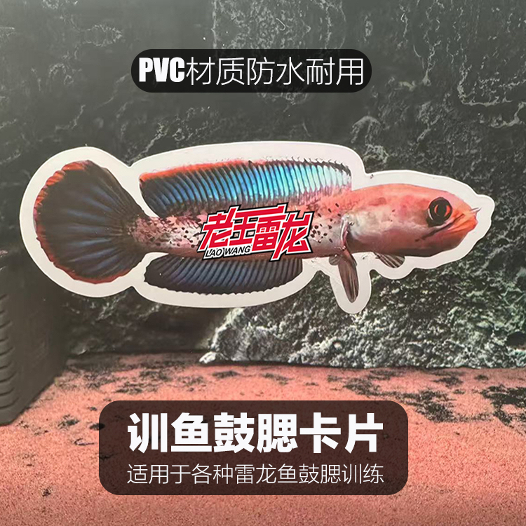 雷龙鱼训鱼卡片双面防水适用多种鱼类训练