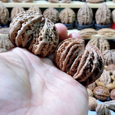 文玩核桃把件向*山花皮 瑕疵