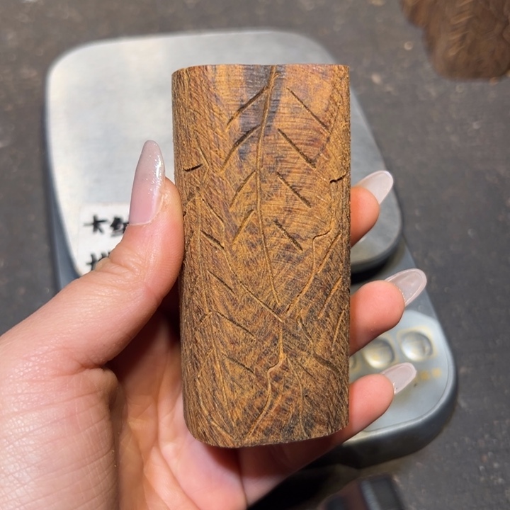 香榧木111111111111