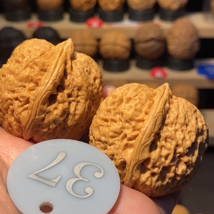 木质类龙鳞铁狮子42尺寸，大克重63克