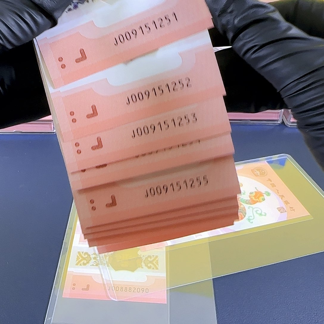 塑料生肖蛇十连号009151251-60