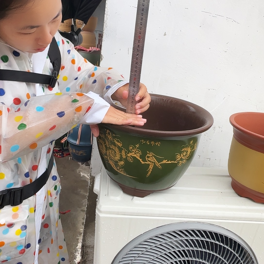 龙凤呈祥大号花盆花盆花盆